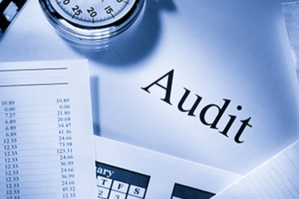 Audit Services